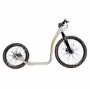 Doxtor Scooter  F443D+ lichtgrau