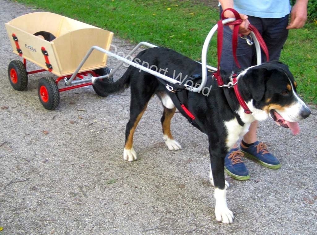 Pulka Zugstange, Bollerwagen ziehen Hund