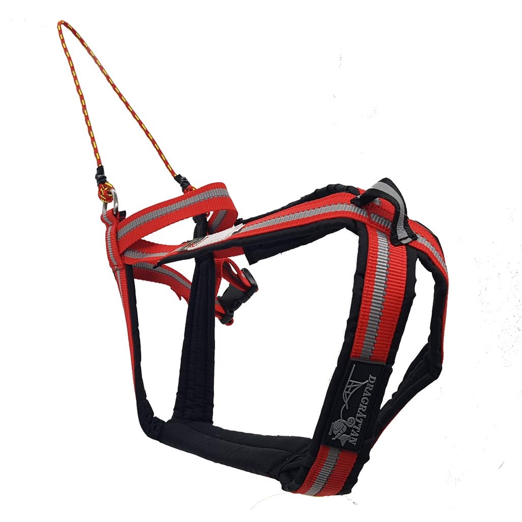 Dragråttan Multisport Harness, rechte Seite