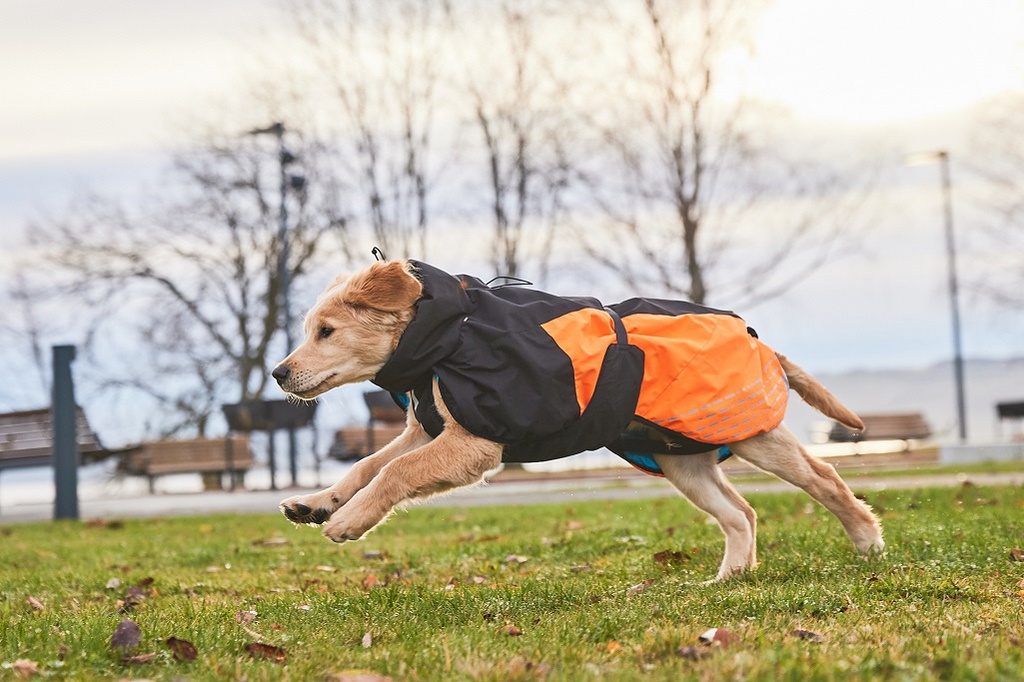 Non-stop dogwear Glacier Jacket-Hund 2.0