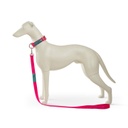 Dogmabelt Trainingsleine