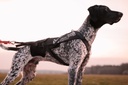 Non-stop dogwear Zuggeschirr Freemotion Harness Pro