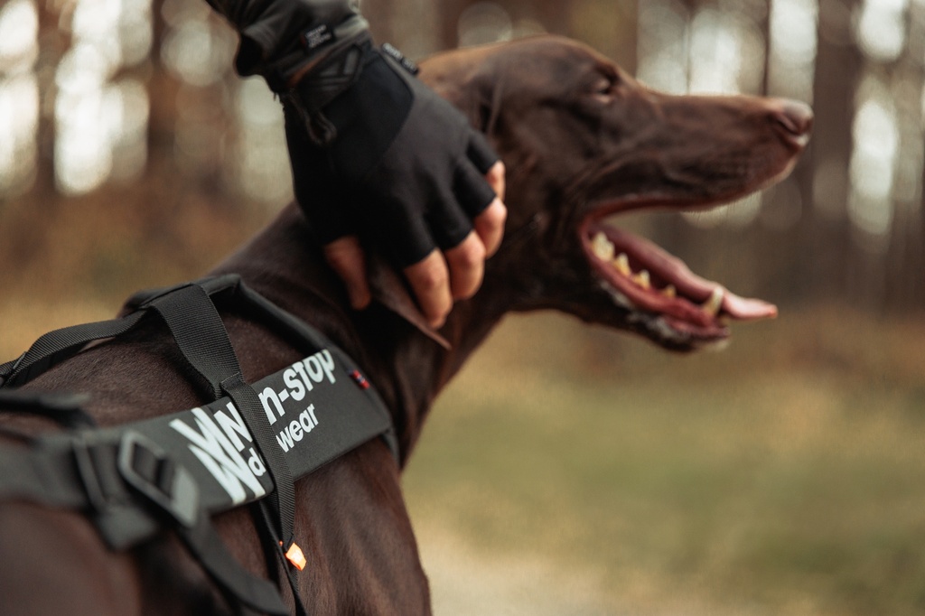 Non-stop dogwear Zuggeschirr Freemotion Harness Pro
