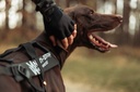 Non-stop dogwear Zuggeschirr Freemotion Harness Pro